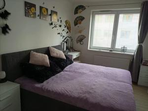 Pronájem bytu 2+kk, Olomouc, 60 m2