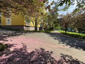 Prodej bytu 2+1, Chomutov, Kamenná, 61 m2