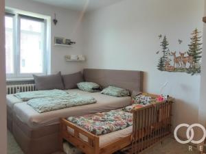 Prodej bytu 2+1, Příbor, Čs. armády, 52 m2
