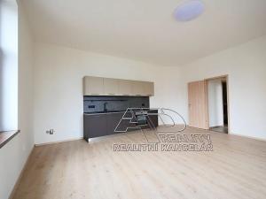 Pronájem bytu 2+kk, České Budějovice, Fráni Šrámka, 53 m2