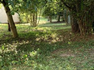 Prodej komerčního pozemku, Mariánské Lázně, Kollárova, 799 m2