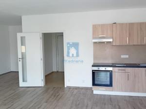 Pronájem bytu 1+kk, Plzeň, Rejskova, 54 m2
