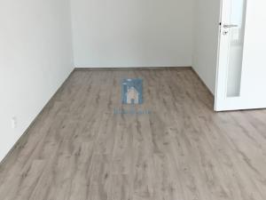 Pronájem bytu 1+kk, Plzeň, Rejskova, 54 m2