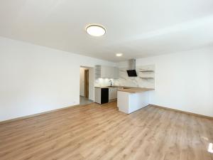 Pronájem bytu 1+kk, Olomouc - Hodolany, Elišky Krásnohorské, 36 m2