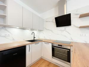 Pronájem bytu 1+kk, Olomouc - Hodolany, Elišky Krásnohorské, 36 m2