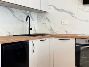 Pronájem bytu 1+kk, Olomouc - Hodolany, Elišky Krásnohorské, 36 m2