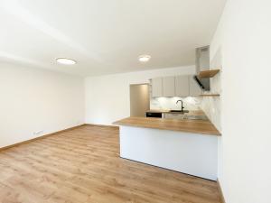 Pronájem bytu 1+kk, Olomouc - Hodolany, Elišky Krásnohorské, 36 m2