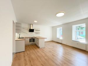 Pronájem bytu 1+kk, Olomouc - Hodolany, Elišky Krásnohorské, 36 m2