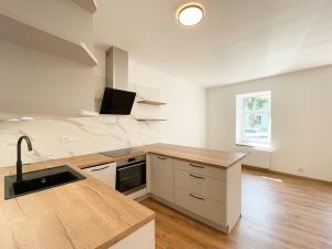 Pronájem bytu 1+kk, Olomouc - Hodolany, Elišky Krásnohorské, 36 m2