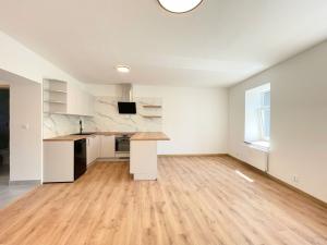 Pronájem bytu 1+kk, Olomouc - Hodolany, Elišky Krásnohorské, 36 m2