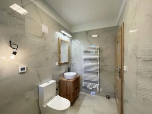 Pronájem bytu 1+kk, Olomouc - Hodolany, Elišky Krásnohorské, 36 m2