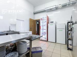 Prodej restaurace, Teplice, U divadla, 162 m2