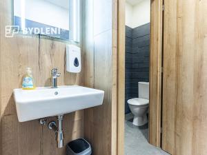 Prodej restaurace, Teplice, U divadla, 162 m2