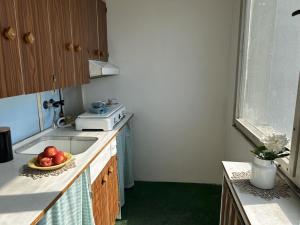 Prodej bytu 1+kk, Praha - Střížkov, Varnsdorfská, 26 m2