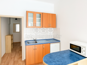 Pronájem bytu 1+kk, Praha - Holešovice, Pplk. Sochora, 19 m2