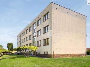 Prodej bytu 3+1, Týnec nad Labem, Sadová, 78 m2