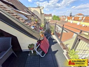 Pronájem bytu 3+kk, Brno - Brno-město, 115 m2