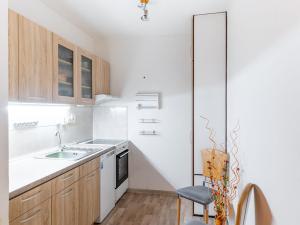 Pronájem bytu 1+kk, Březnice, Dolní Valy, 42 m2