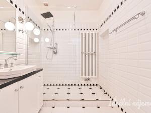 Pronájem bytu 4+kk, Brno, Erbenova, 94 m2
