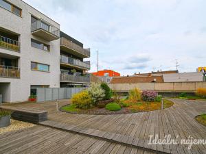 Pronájem bytu 2+kk, Brno, Košinova, 56 m2