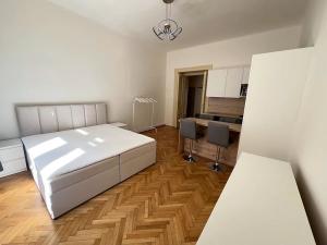 Pronájem bytu 1+kk, Praha - Vinohrady, Mánesova, 42 m2