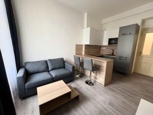 Pronájem bytu 2+kk, Praha - Vinohrady, Mánesova, 53 m2