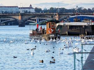 Prodej bytu 2+kk, Praha - Nusle, Bělehradská, 43 m2