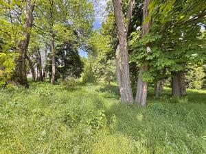 Prodej rodinného domu, Hrušovany nad Jevišovkou, Severní, 180 m2