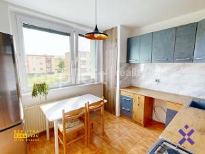 Pronájem bytu 2+1, Hodonín, I. Olbrachta, 54 m2