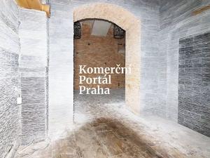 Pronájem restaurace, Praha - Nové Město, Soukenická, 276 m2