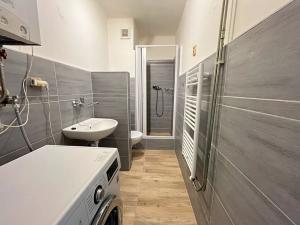 Pronájem bytu 1+1, Opava, Polanova, 38 m2