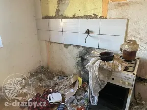 Dražba rodinného domu, Hrochův Týnec, Nábřeží, 234 m2