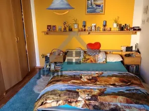 Prodej bytu 1+1, České Budějovice, Puklicova, 39 m2