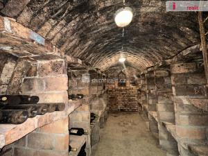 Prodej garáže, Čejkovice, Vinařská, 61 m2