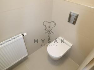 Pronájem obchodního prostoru, České Budějovice - České Budějovice 3, Holečkova, 100 m2