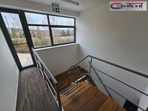 Pronájem kanceláře, Nová Paka, Pražská, 300 m2