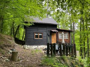 Prodej chaty, Kaliště, 30 m2