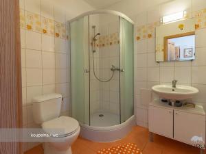 Prodej vícegeneračního domu, Chocenice, 280 m2