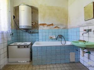 Prodej vícegeneračního domu, Chocenice, 280 m2