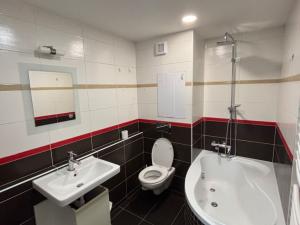 Pronájem bytu 4+kk, Lovosice, Dlouhá, 71 m2
