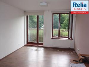 Pronájem bytu 2+kk, Liberec, Riegrova, 44 m2