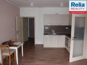 Pronájem bytu 2+kk, Liberec, Riegrova, 44 m2