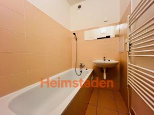 Pronájem bytu 1+1, Ostrava - Poruba, Opavská, 43 m2