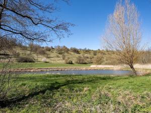 Prodej rodinného domu, Rašovice, 105 m2