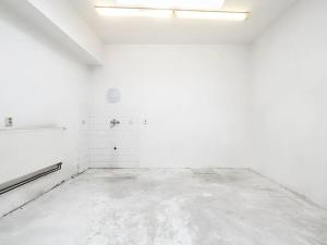 Prodej vícegeneračního domu, Brno, Malínská, 179 m2