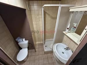 Pronájem bytu 1+1, Ostrava, Nádražní, 30 m2
