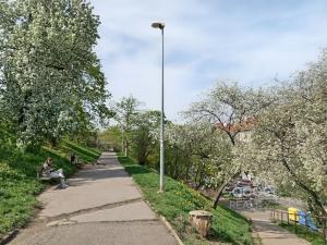 Pronájem bytu 2+kk, Praha - Žižkov, Jeseniova, 51 m2