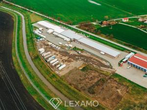 Pronájem komerčního pozemku, Měnín, 8000 m2