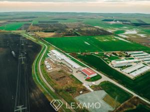 Pronájem komerčního pozemku, Měnín, 8000 m2