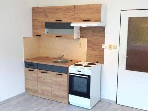 Pronájem bytu 1+kk, Rožnov pod Radhoštěm, Lesní, 21 m2